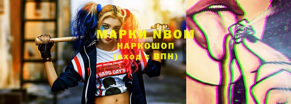 хмурый Алексин