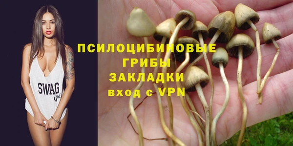 хмурый Алексин
