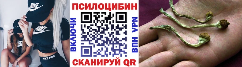 хочу наркоту  Безенчук  Галлюциногенные грибы прущие грибы 
